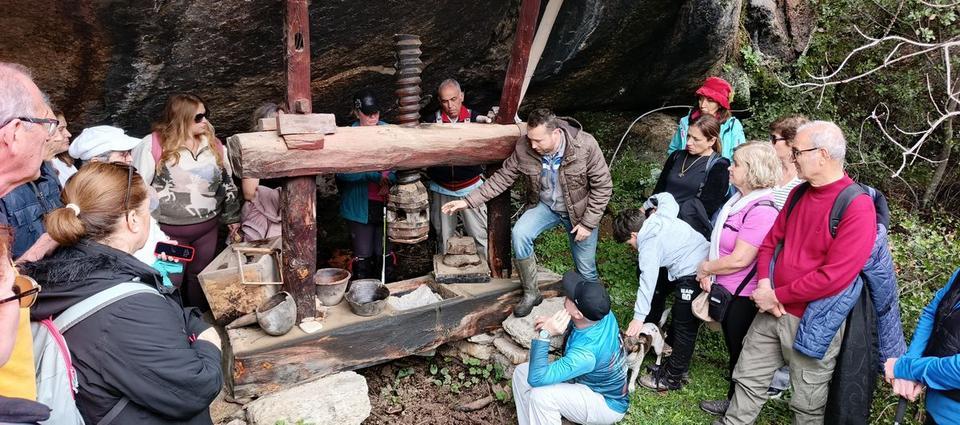 �������������������������������