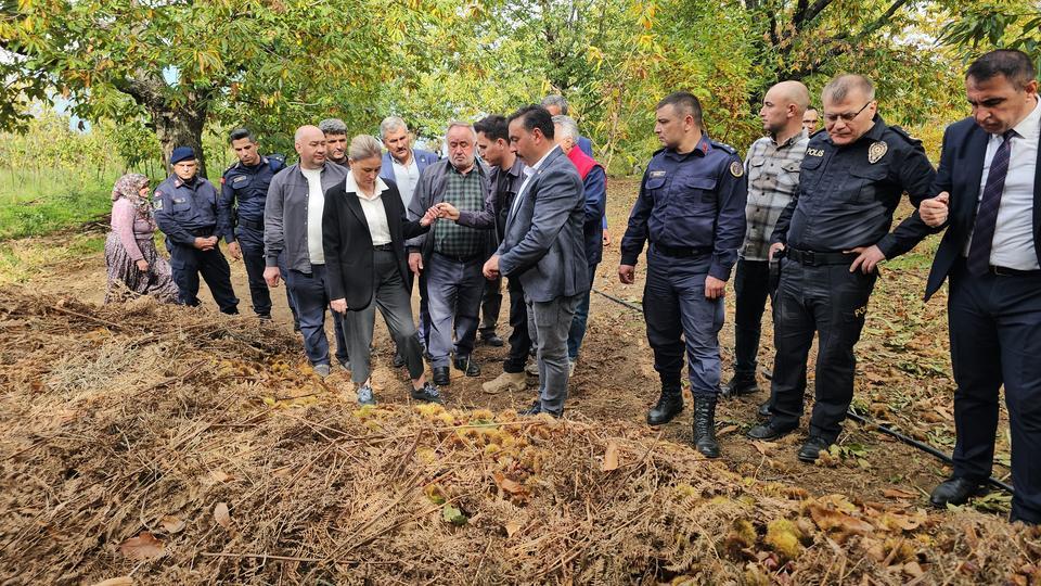 KAYMAKAM KAN, KESTANE HASADINA KATILDI