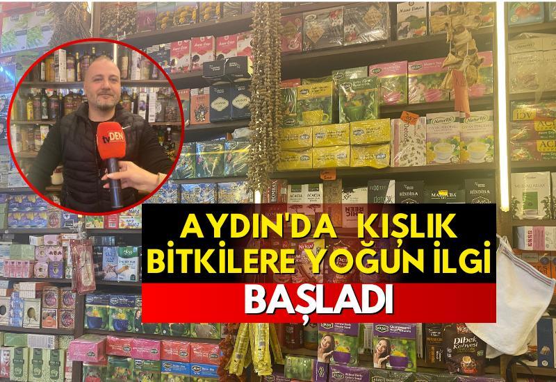 Aydın’da kışlık bitkilere yoğun ilgi başladı