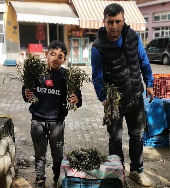 AYDIN'DA KENDİLİĞİNDEN YETİŞEN BU OTLAR GARİBANIN CÜZDANINI ZENGİNİN SOFRALARINI SÜSLÜYOR DAĞLARDAN BEDAVAYA TOPLANIYOR, ŞEHİRDE BAĞI 100 TL'YE KADAR ALICI BULUYOR