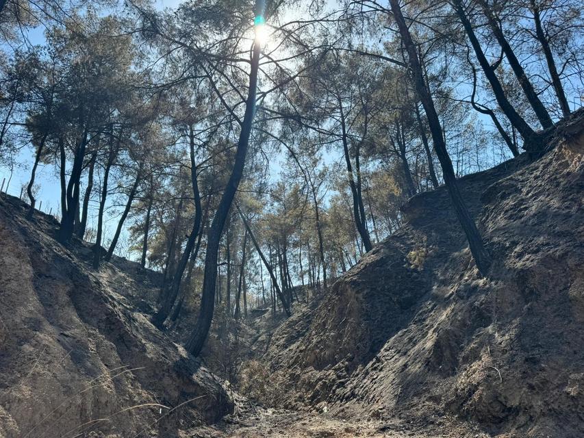 EVİNİ YANGINDAN KORUMAK İÇİN MÜCADELE EDERKEN KALP KRİZİ GEÇİRDİ