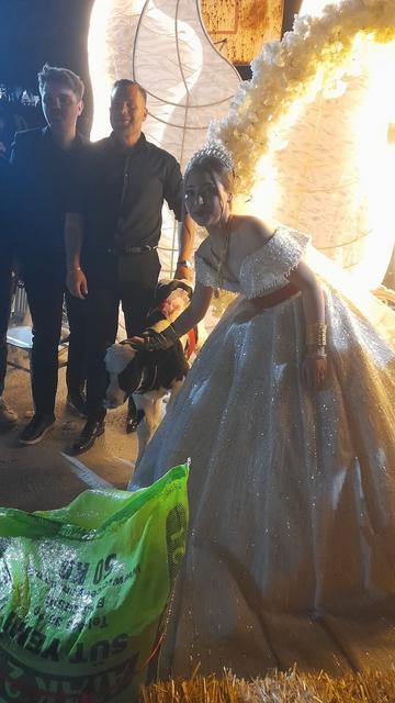 DÜĞÜNDE TAKI YERİNE GELİNE BUZAĞI DAMADA AT HEDİYE ETTİLER DAMAT HAYVANCILIKLA UĞRAŞINCA TAKI MERASİMİ DEĞİŞTİ, GELİNE BUZAĞI DAMADA AT HEDİYE ETTİLER TAKI TÖRENİNDE İLGİNÇ HEDİYELER; GELİNE BUZAĞI, DAMADA AT ÇANAKKALE'DE BİR DÜĞÜNDE GELİN VE DAMADA İLGİNÇ HEDİYELER