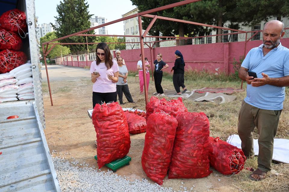 ADANA'DA SALÇALIK BİBER TELAŞI BAŞLADI GEÇEN SENE KİLOGRAMI 24 LİRAYA SATILAN SALÇALIK BİBER, BU SENE 17 LİRADAN ALICI BULUYOR