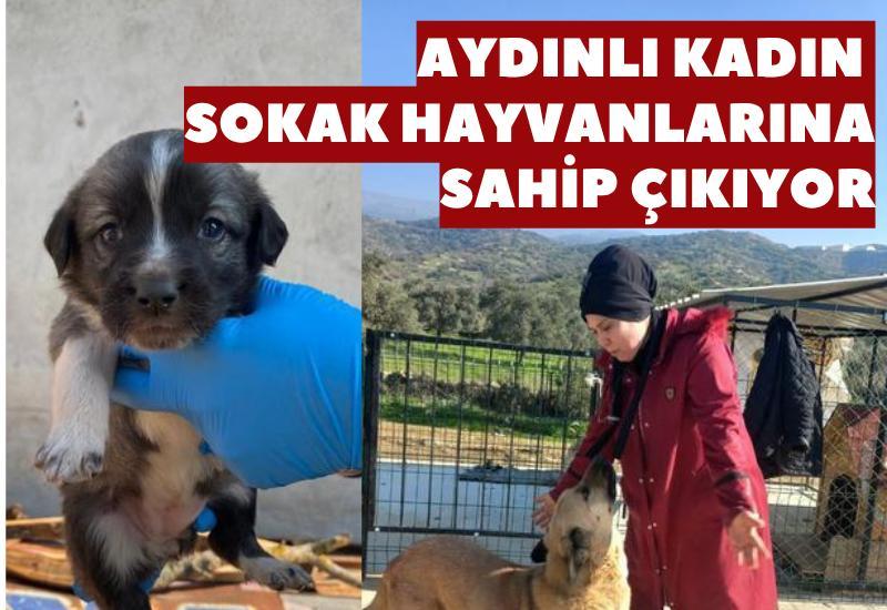 Aydınlı kadın sokak hayvanlarına sahip çıkıyor