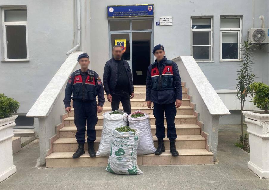 Aydın’da hırsızlık şüphelileri incir sezonuna hızlı başladı