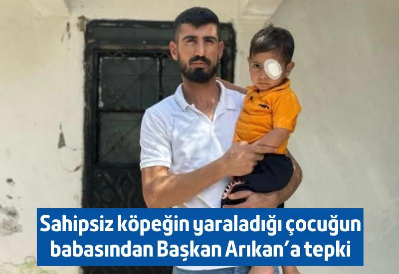 Sahipsiz köpeğin yaraladığı çocuğun babasından Arıkan'a tepki