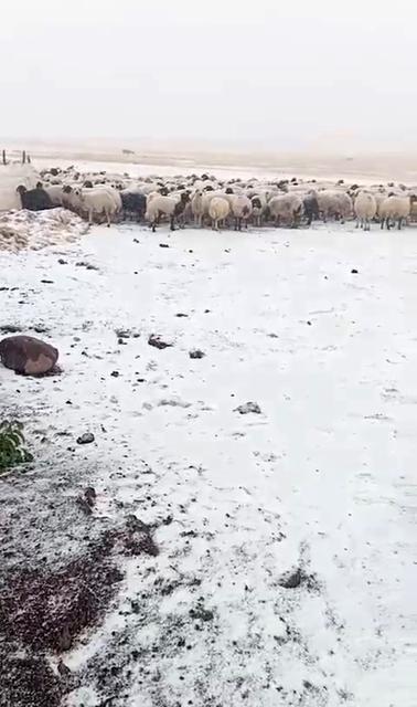 Eylül'de yağan kar köyü beyaza bürüdü