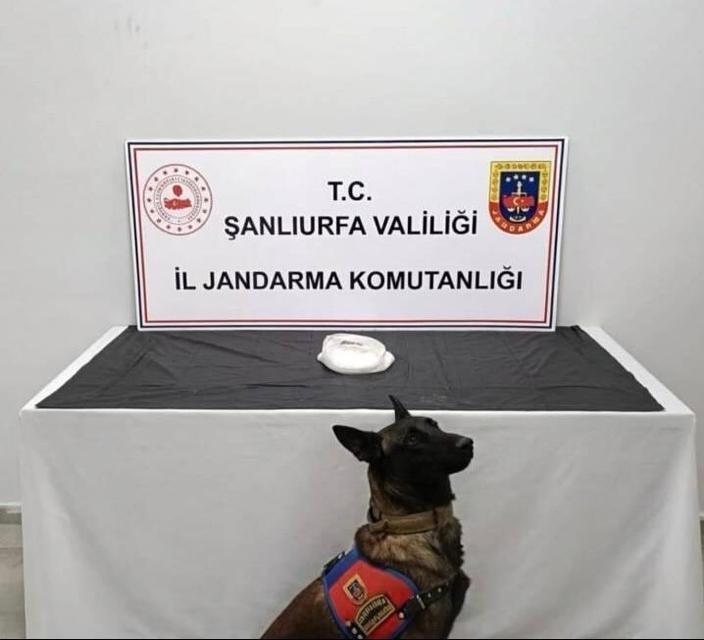 Uyuşturucu operasyonu: 2 gözaltı