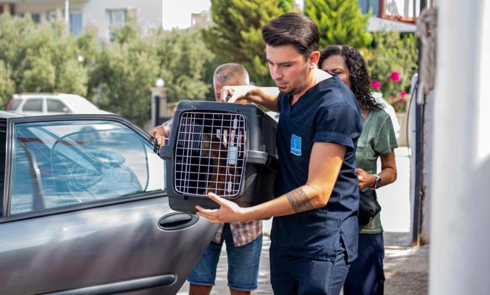 Kuşadası'nda Kedi Kısırlaştırma Merkezi açıldı