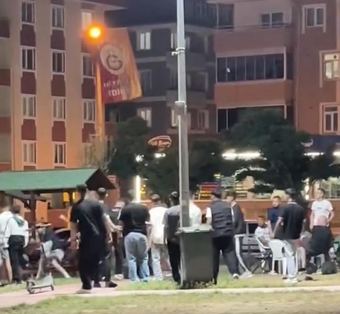 Gençler arasında parkta yumruklu kavga
