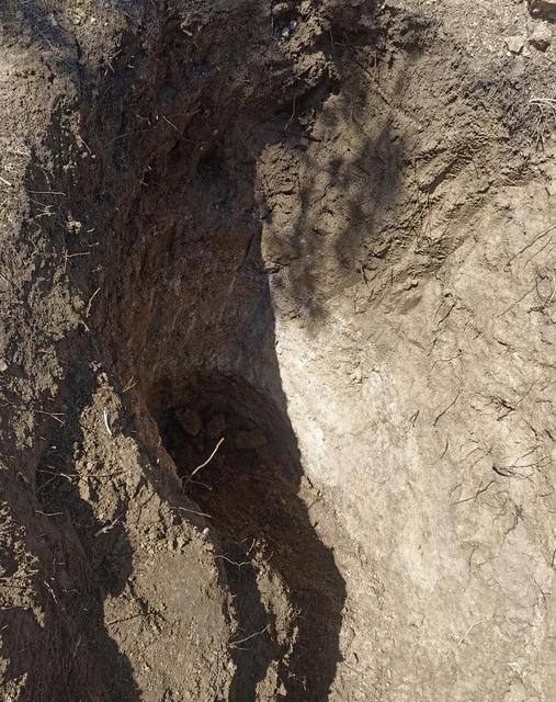 Mezarlıkta define aradılar