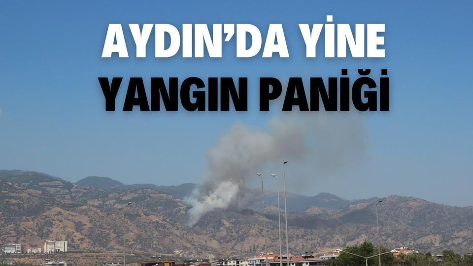 Aydın’da yine yangın paniği