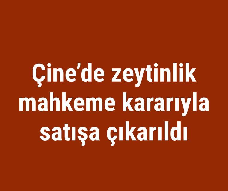 Çine’de zeytinlik mahkeme kararıyla satışa çıkarıldı