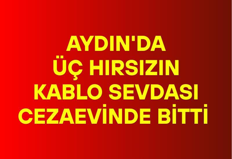 Aydın'da 3 hırsızın kablo sevdası cezaevinde bitti