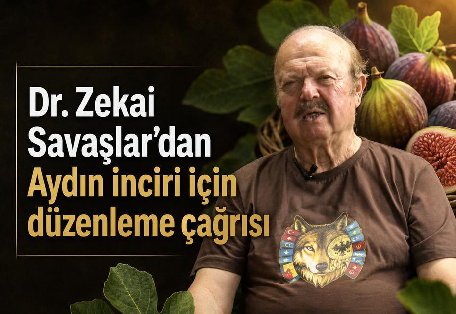 Dr. Zekai Savaşlar’dan Aydın inciri için düzenleme çağrısı