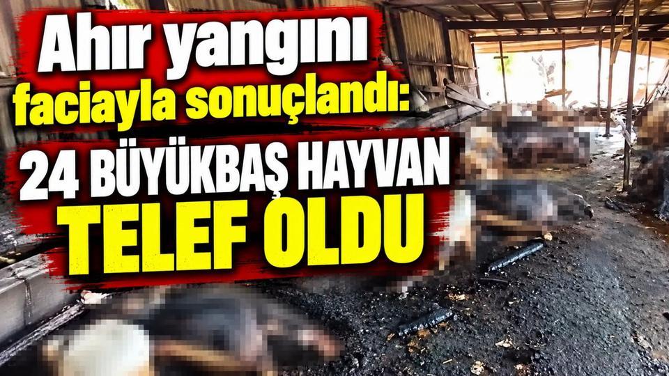 Ahır yangınında 24 büyükbaş hayvan telef oldu