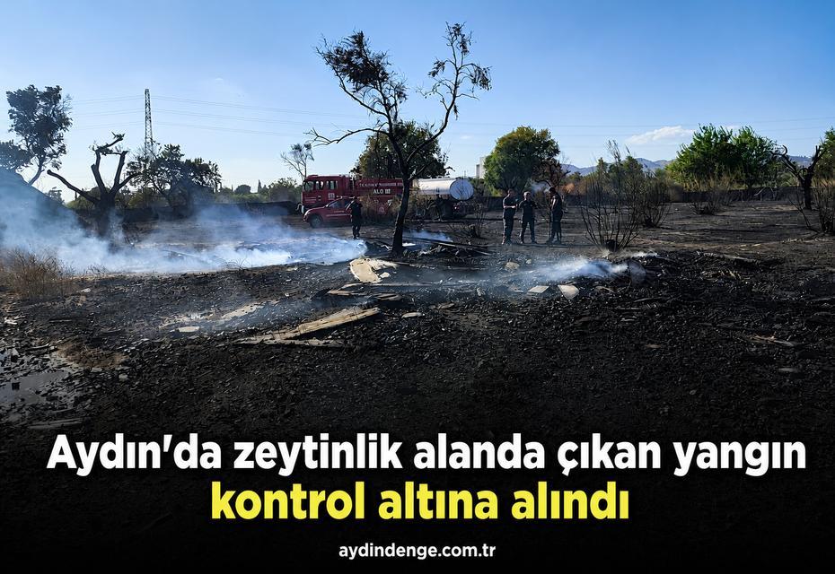 Aydın'da zeytinlik alanda çıkan yangın kontrol altına alındı