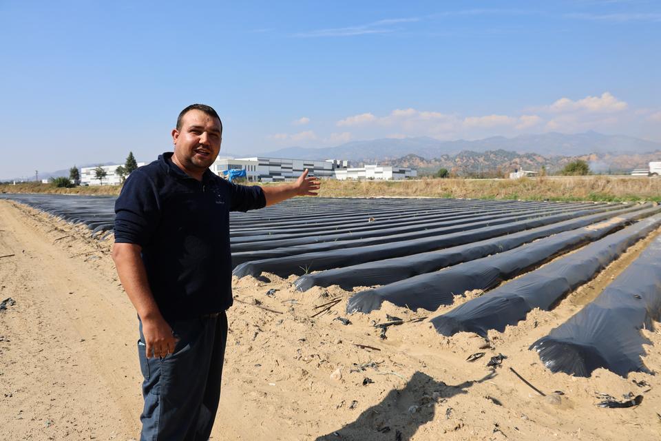 Aydın’da kış çileği hazırlıkları başladı