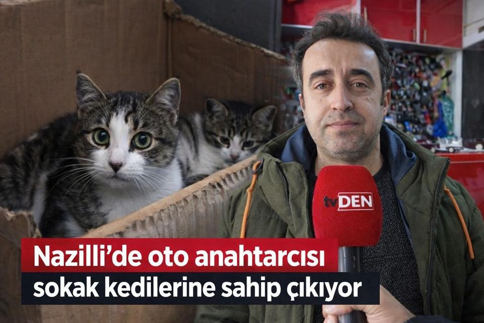 Nazilli’de oto anahtarcısı, sokak kedilerine sahip çıkıyor