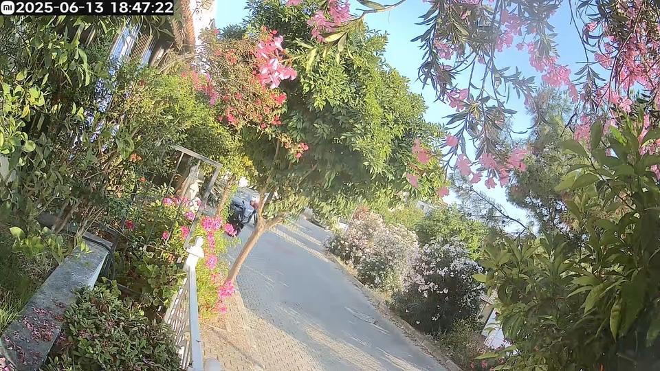 Aydın'da kontrolden çıkan motosiklet park halindeki araçlara çarptı: 1 yaralı