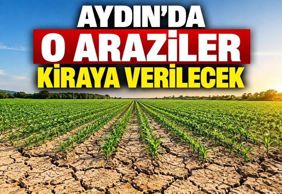 Aydın'da o araziler kiraya verilecek