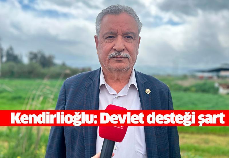 Kendirlioğlu: Devlet desteği şart