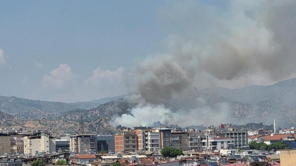 Aydın'da zeytinlik alanda yangın!
