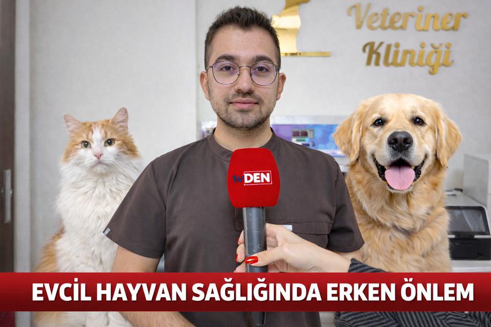 Evcil hayvan sağlığında erken önlem