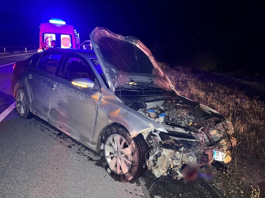 Otomobil domuz sürüsüne çarptı: 2 kişi yaralandı, 9 domuz telef oldu