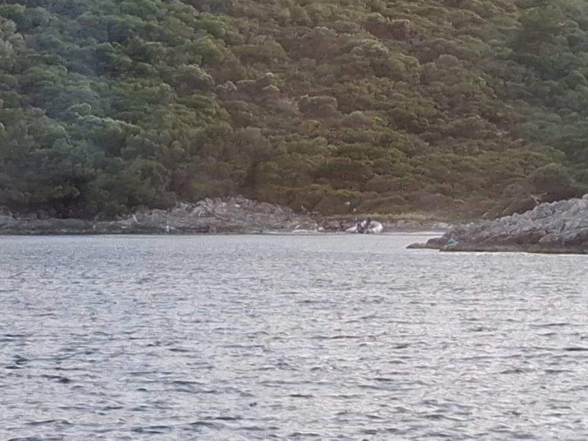 Yasak bölgeye zodyak botla gelen 3kişi yakalandı