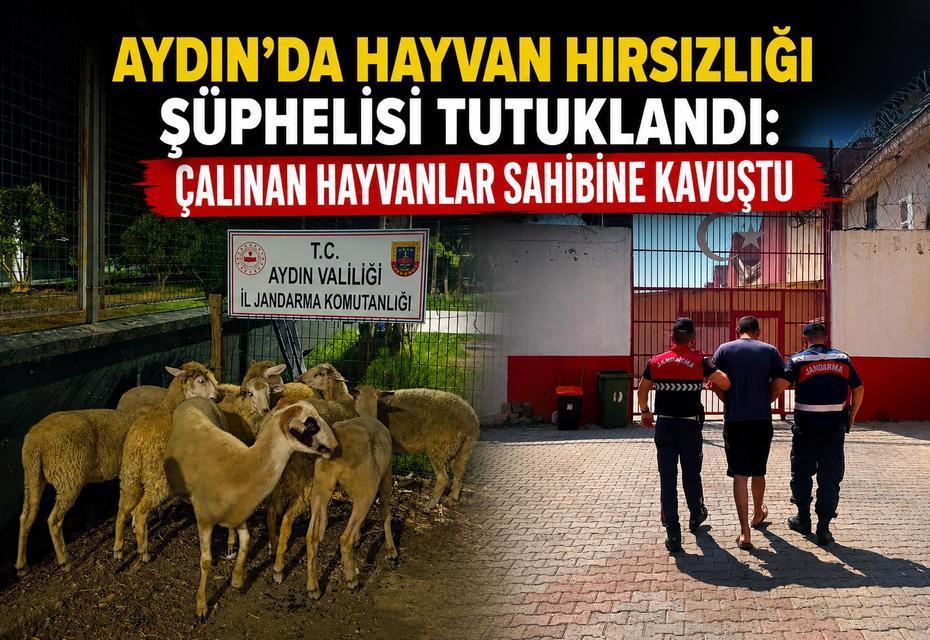 Aydın'da hayvan hırsızlığı şüphelisi tutuklandı