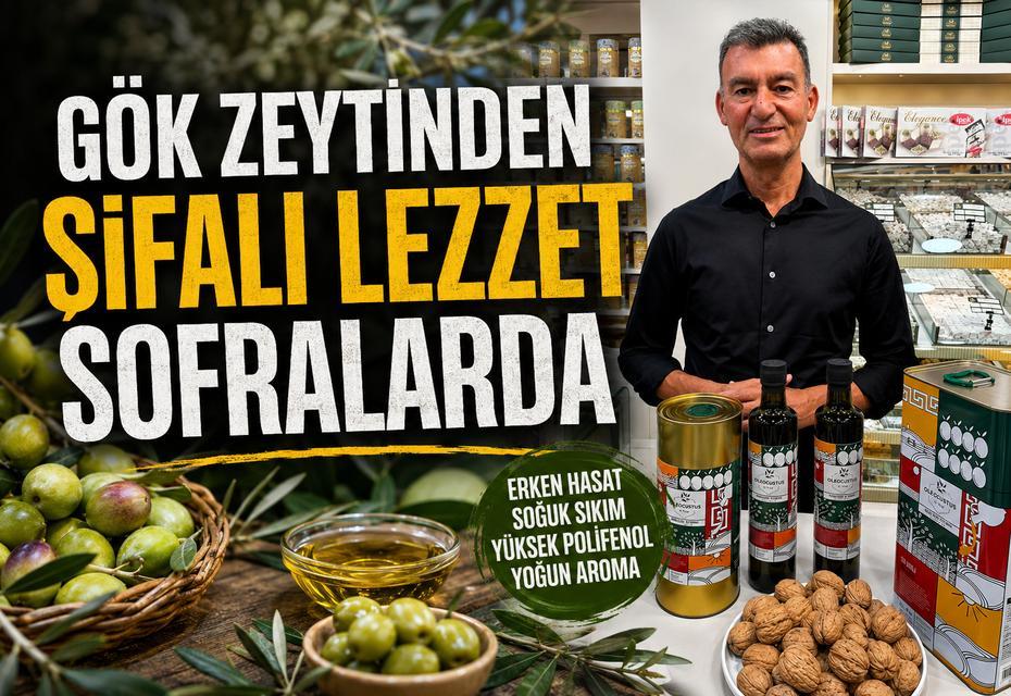 Gök zeytinden şifalı lezzet sofralarda