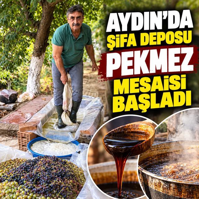 Aydın’da şifa deposu pekmez mesaisi başladı