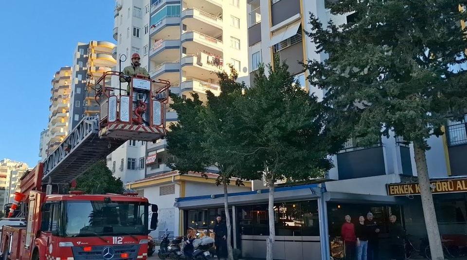 Köpekten kaçan kedi 3 gün ağaçta mahsur kaldı