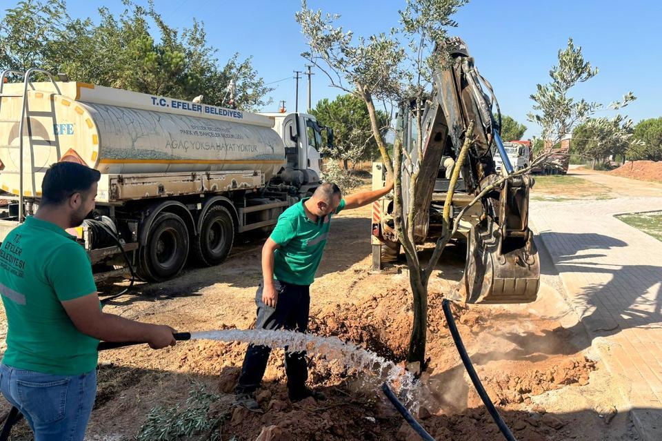 Efeler'de ağaçlar yeni yaşam alanına kavuştu