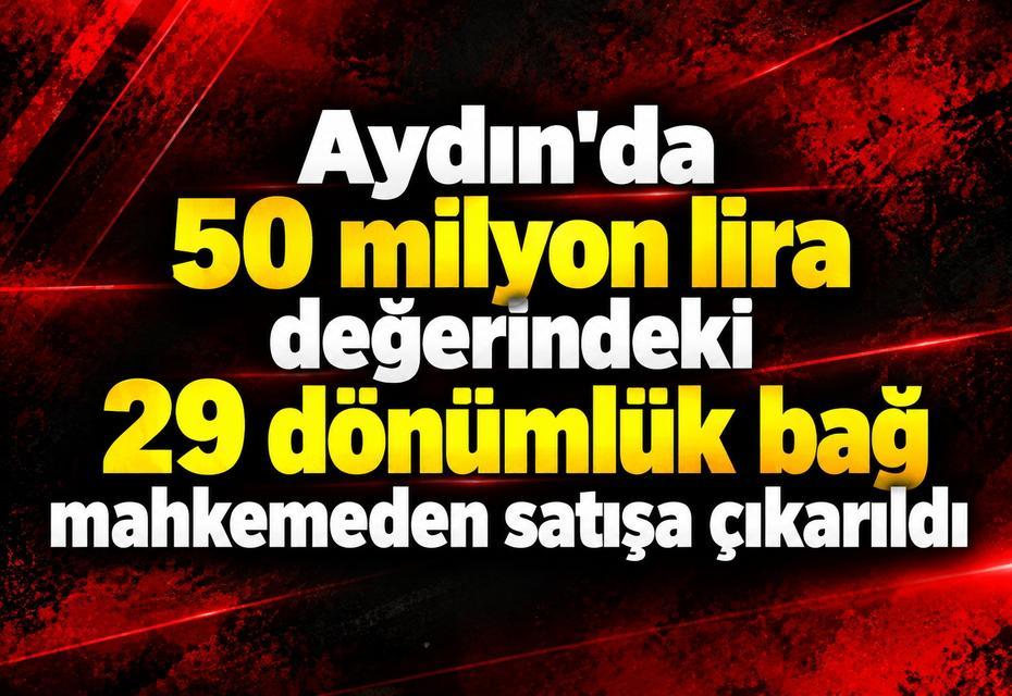 Aydın'da 50 milyon lira değerindeki 29 dönümlük bağ mahkemeden satışa çıkarıldı