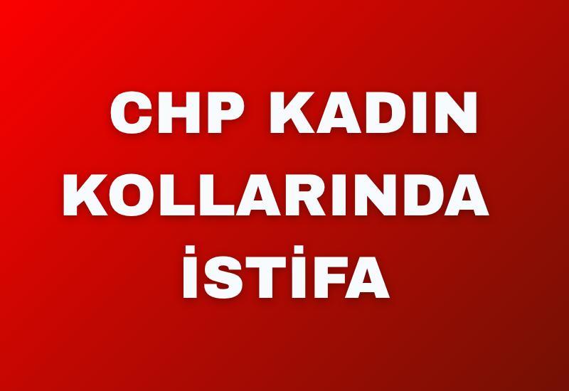 CHP kadın kollarında istifa