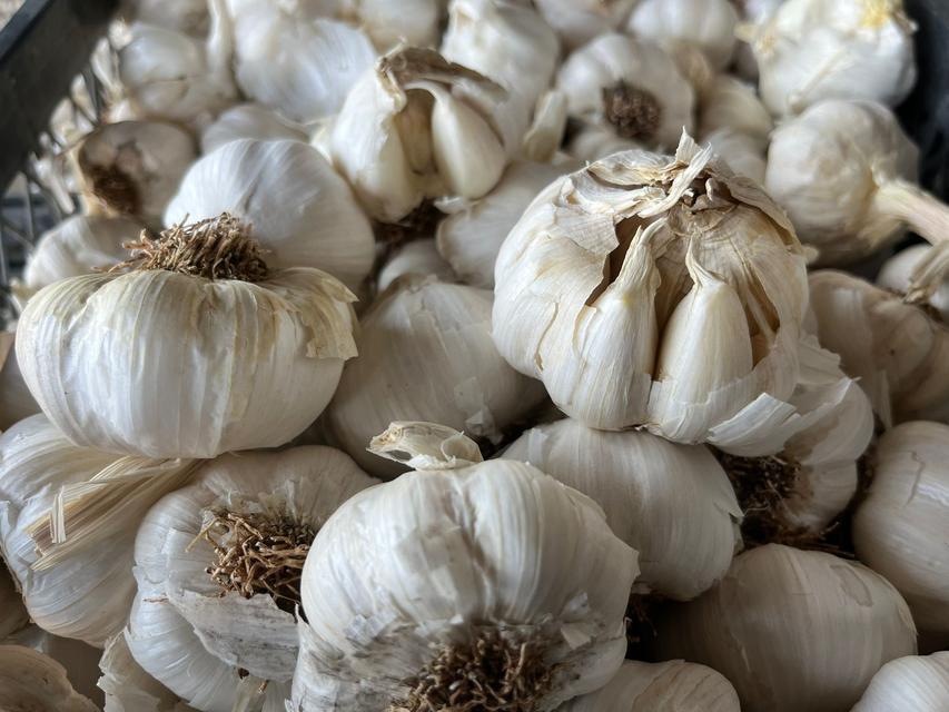 MİNİBÜSÜYLE ÜÇ İL GEZİP, AİLESİNE BAKIYOR