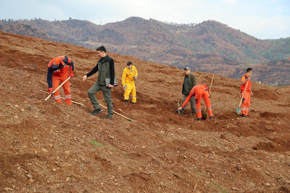 Aydın ve Muğla da yeşil vatan seferberliği