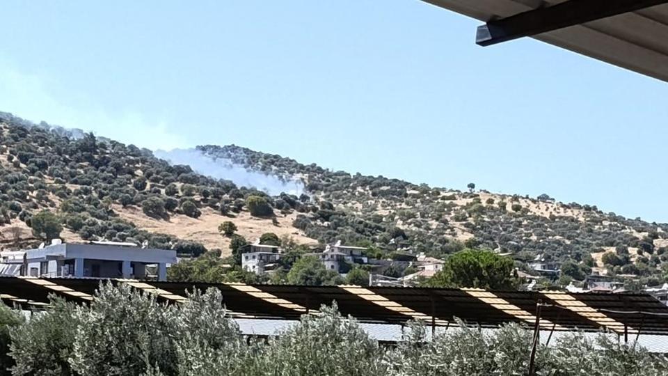 Aydın'daki zirai alan yangınında son durum belli oldu!
