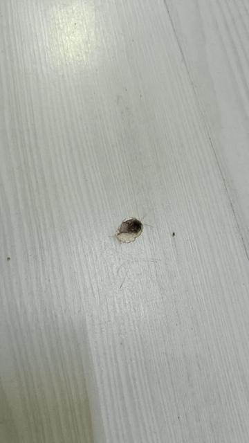 Yorgun mermi iş yerine isabet etti