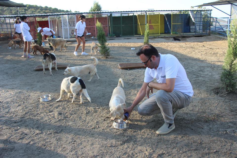 KUŞADASI'NDA SOKAK KÖPEKLERİ İÇİN ÖZEL BARINAK