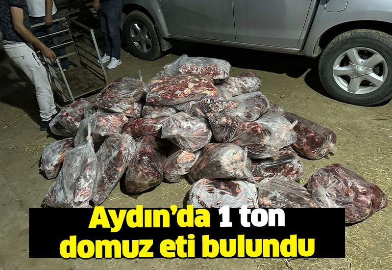 Aydın'da 1 ton domuz eti ele geçirildi