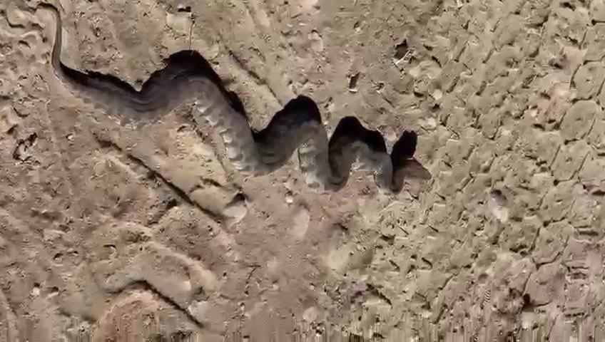DEV YILANI GÖRENLER NEYE UĞRADIKLARINI ŞAŞIRDI