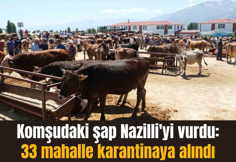 Komşudaki şap Nazilli'yi vurdu: 33 mahalle karantinaya alındı