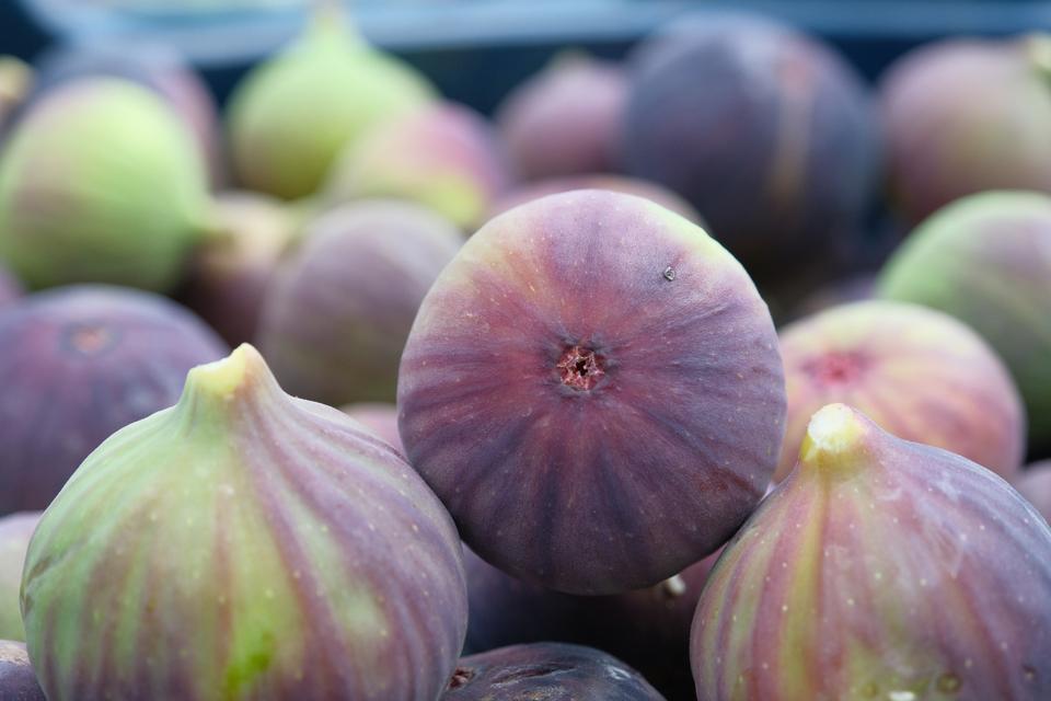 KRALİÇE İNCİRİNİN İHRACATINDA KİLOGRAM BAŞINA 1 DOLARLIK DEĞER ARTIŞI OLDU "BURSA SİYAHI" GEÇEN YIL 1 DOLAR DAHA DEĞERLİ İHRAÇ EDİLDİ GEÇEN YIL ZİRAİ DON VE KURAKLIĞA RAĞMEN BURSA SİYAHINDA İHRACAT BAŞARISI GERÇEKLEŞTİ