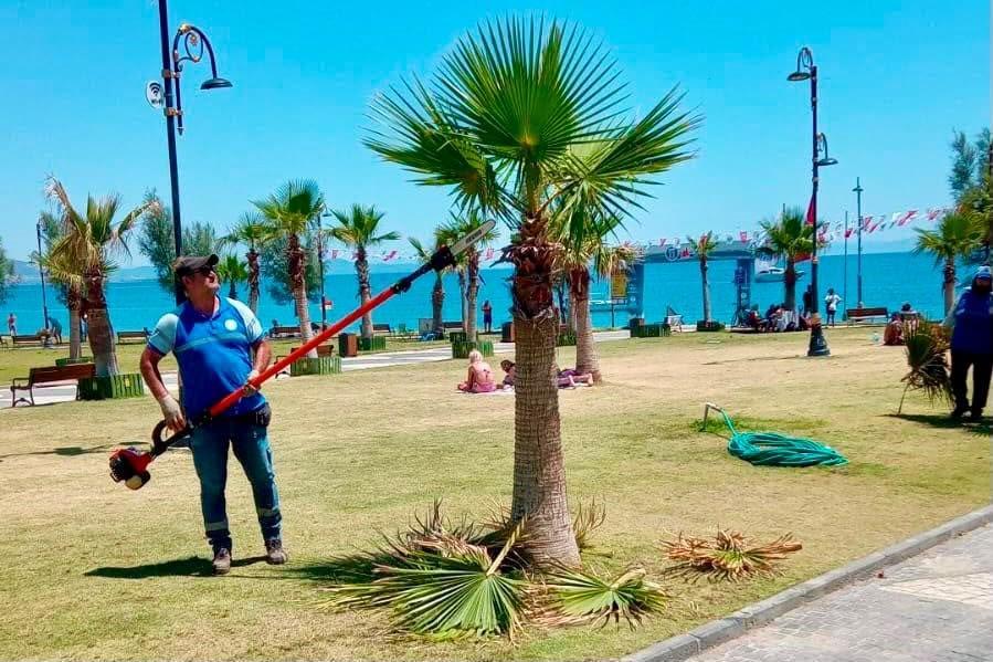 Didim'de ortak kullanım alanları yenileniyor