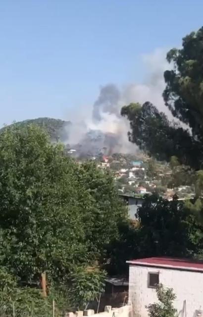 Söke Bağarası'nda orman yangını