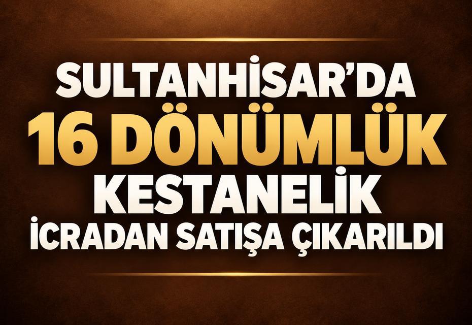 Sultanhisar’da 16 dönümlük kestanelik icradan satışa çıkarıldı