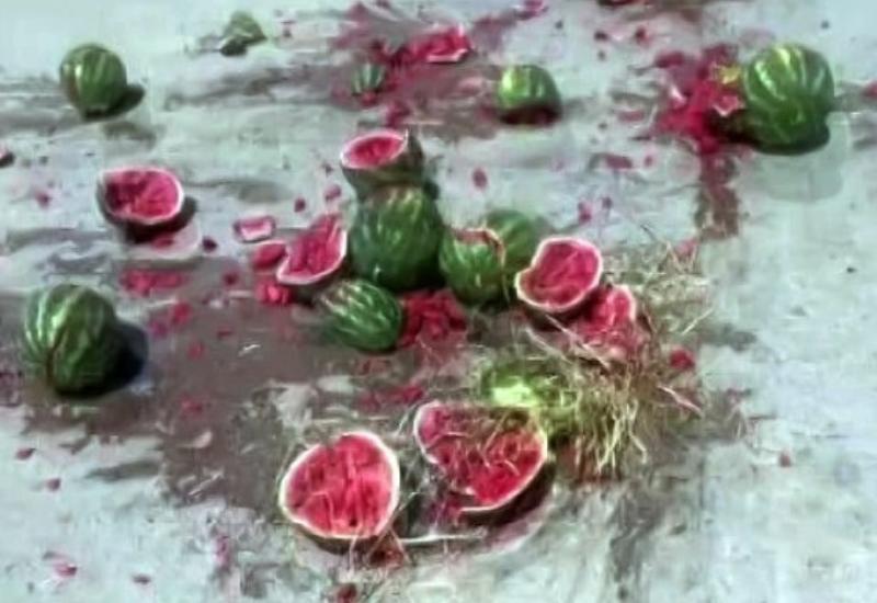 Bir römork dolusu karpuzu parçaladı